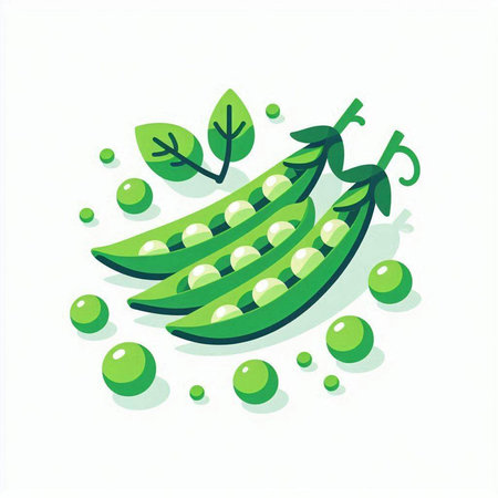 Green peas with green leaves on a white background. Vector illustration.のイラスト素材