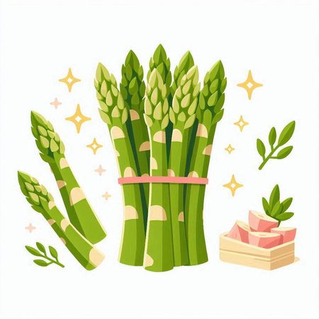 Vector illustration of fresh green asparagus. Healthy food concept.のイラスト素材