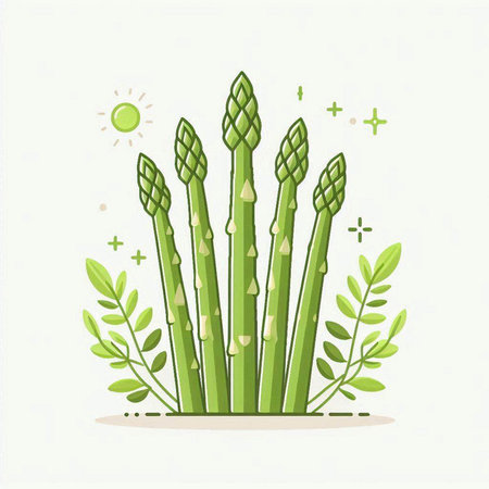 Asparagus vegetable vector illustration. Fresh green asparagus icon.のイラスト素材