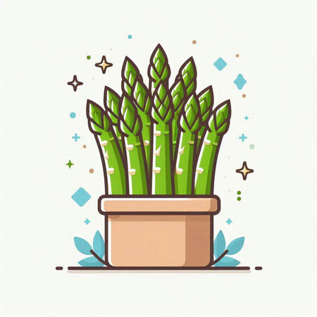Vector illustration of green asparagus in a pot on white background.のイラスト素材