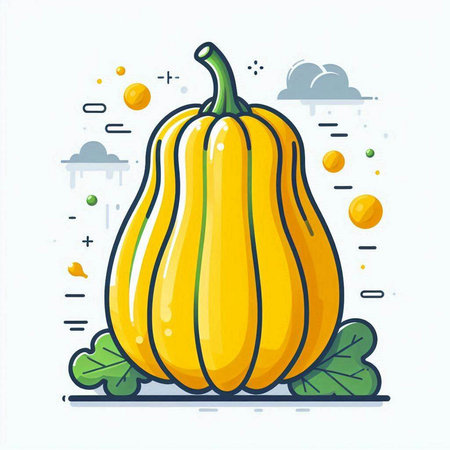 Pumpkin vector illustration. Cucurbita moschataのイラスト素材