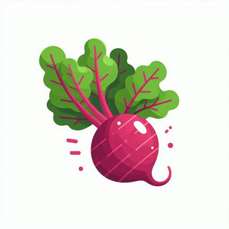 Beetroot vector illustration isolated on white background. Vegetable in cartoon styleのイラスト素材
