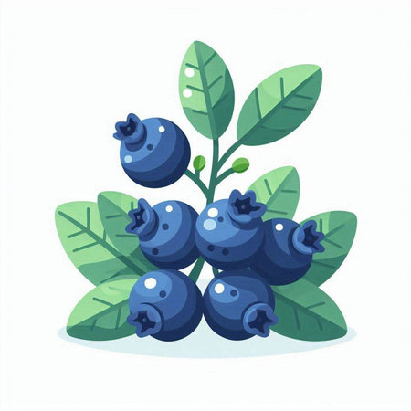 Blueberry with leaves isolated on white background. Vector illustration in cartoon style.のイラスト素材
