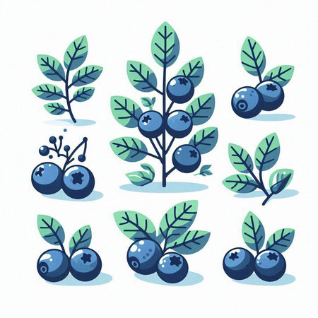 Set of blueberries with leaves isolated on white background. Vector illustration.のイラスト素材
