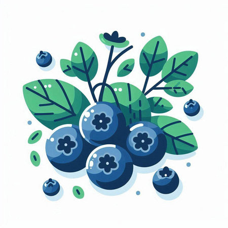 Blueberry vector illustration on white background. Fresh berry with green leaves.のイラスト素材