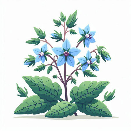 Illustration of a blue flower with green leaves on a white backgroundのイラスト素材