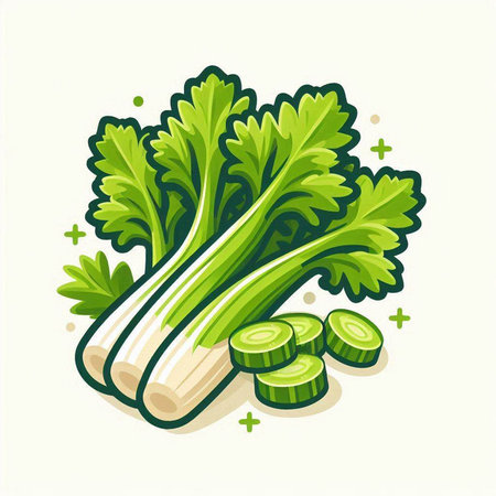 Illustration of fresh celery with slices on a white background.のイラスト素材