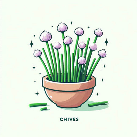 Illustration of chives in a pot. Vector illustration of chives.のイラスト素材