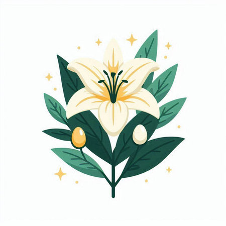 Lily flower with leaves and pearls. Vector illustration in flat style.のイラスト素材