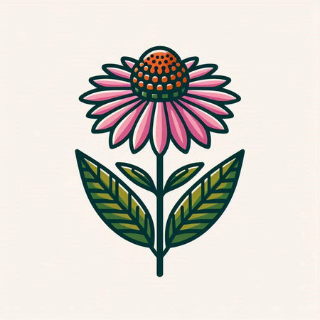 Echinacea flower icon. Echinacea flower vector illustration.のイラスト素材