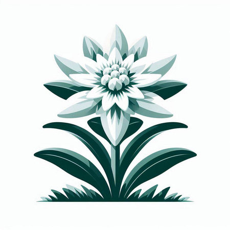 Vector illustration of a beautiful flower on a white background. Design element.のイラスト素材