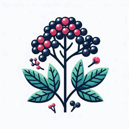 branch with berries and leafs isolated icon vector illustration desingのイラスト素材