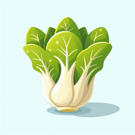 Bok choy vector illustration. Cartoon bok choy vegetable.のイラスト素材