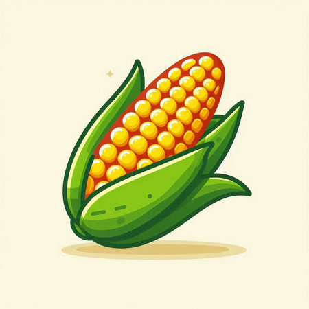 Illustration of a fresh corn on a white background. Vector illustrationのイラスト素材