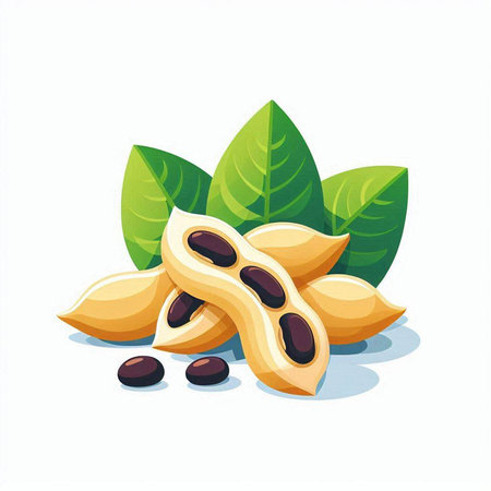 Peanut with leaves isolated on white background. Vector cartoon illustration.のイラスト素材