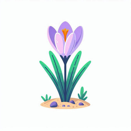 Beautiful spring crocus flower. Vector illustration in cartoon style.のイラスト素材