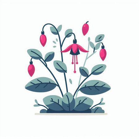 Fuchsia flowers and leaves. Vector illustration in flat style.のイラスト素材