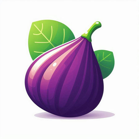 Purple figs with leaves isolated on white background. Vector illustration.のイラスト素材