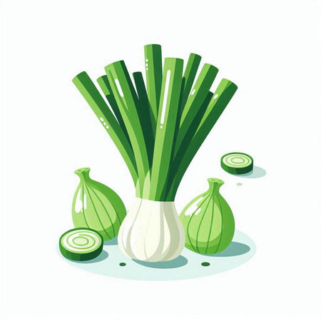 Illustration of fresh green onions on white background. Vector illustration.のイラスト素材