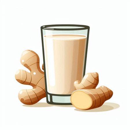 Glass of ginger milk and ginger root on white background. Vector illustration.のイラスト素材