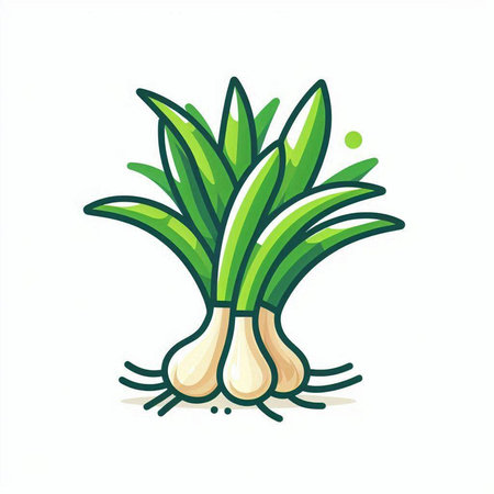 Vector illustration of green onion. Isolated on a white background.のイラスト素材