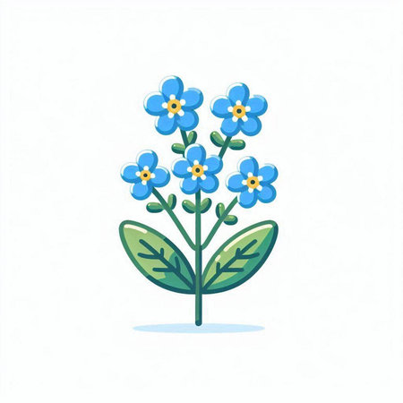 Blue forget-me-not flowers on white background. Vector illustration.のイラスト素材