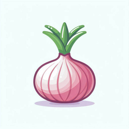 Illustration of a fresh red onion on a light blue background.のイラスト素材