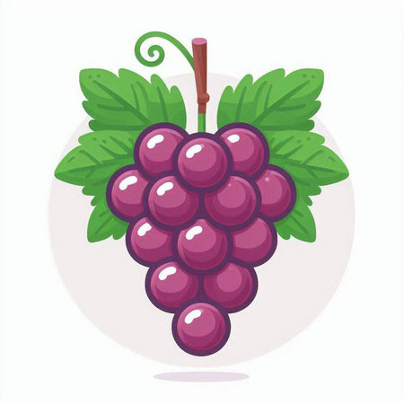 Bunch of grapes with leaves. Vector illustration in flat style.のイラスト素材