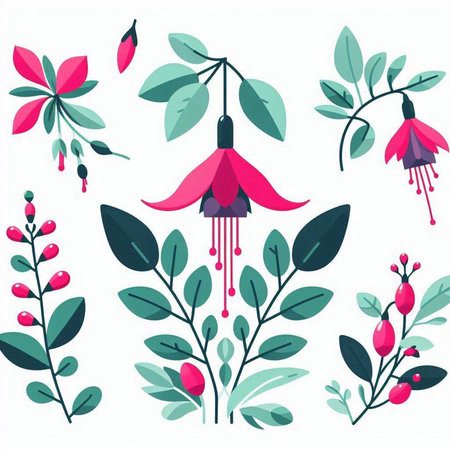 Fuchsia flowers and leaves set. Vector illustration in flat style.のイラスト素材
