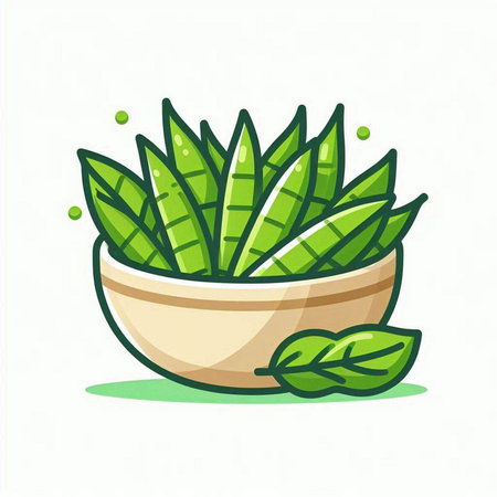Illustration of aloe vera plant in pot on white backgroundのイラスト素材