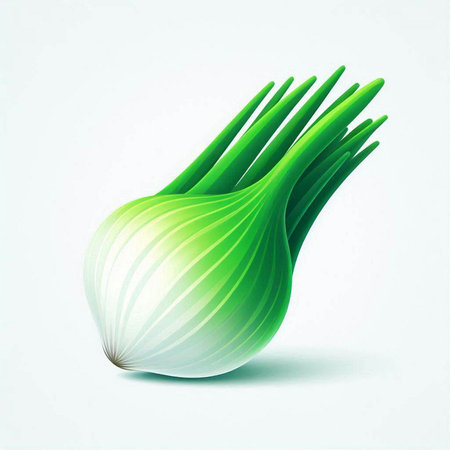 Illustration of fresh green onion on a white background. Vector illustration.のイラスト素材