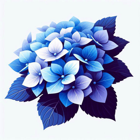 Blue hydrangea flowers on white background. Vector illustration.のイラスト素材