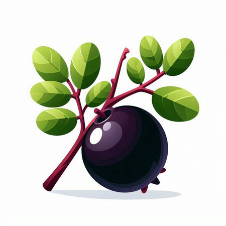 Illustration of a black currant with leaves on a white backgroundのイラスト素材