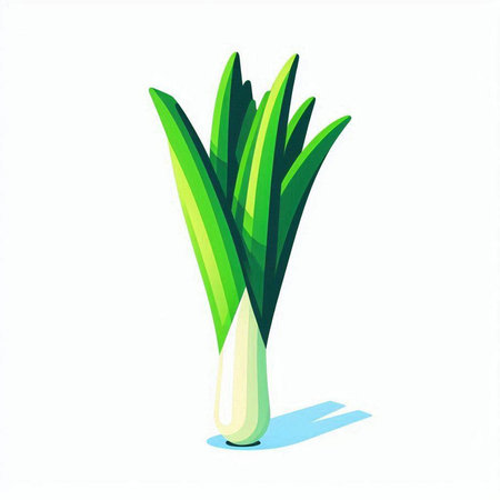 Vector illustration of a fresh green onion isolated on a white background.のイラスト素材