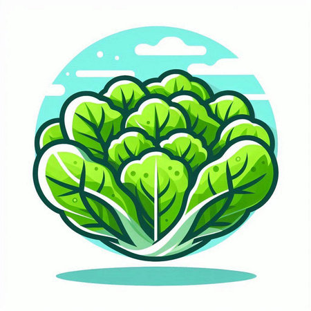 Cabbage icon in cartoon style. Vector illustration isolated on white background.のイラスト素材