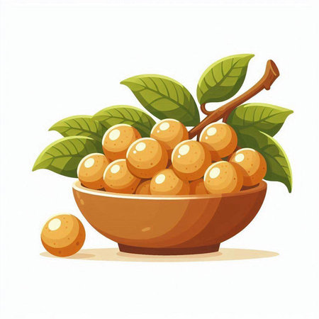 Illustration of ripe longan fruit in a bowl on white backgroundのイラスト素材