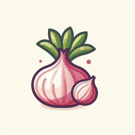Illustration of a fresh onion. Vector illustration of a fresh onion.のイラスト素材