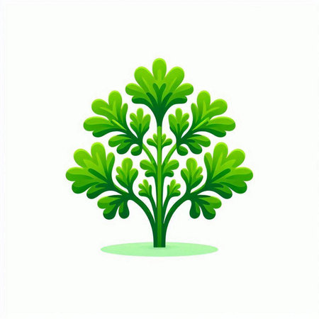 parsley plant icon isolated on white background. vector illustration.のイラスト素材