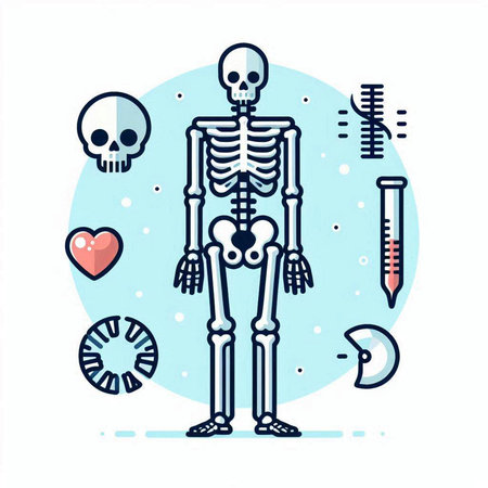 Skeleton with a heart and a thermometer. Vector illustration.のイラスト素材