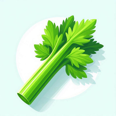 Illustration of fresh green celery on white background with shadow.のイラスト素材