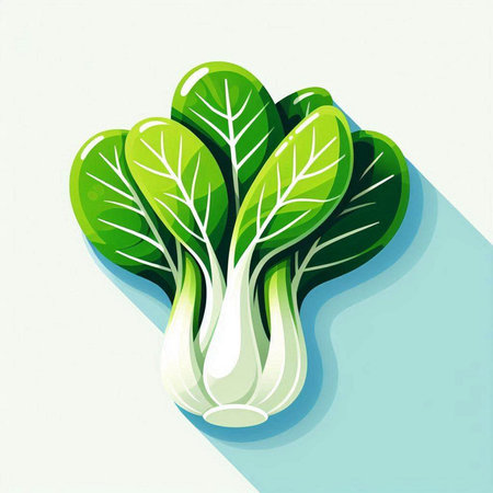 Bok choy fresh vegetable in flat style. Vector illustration.のイラスト素材