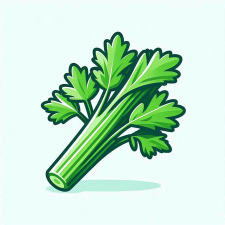 Celery icon. Fresh green celery. Vector illustration.のイラスト素材