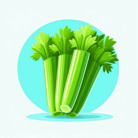 Fresh celery isolated on white background. Vector illustration in cartoon style.のイラスト素材