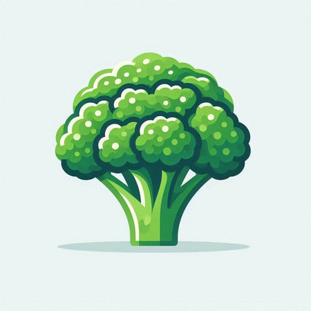 Broccoli. Vector illustration. Isolated on a white background.のイラスト素材