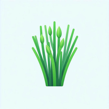 Vector illustration of green onion. Isolated on a white background.のイラスト素材