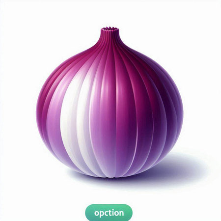 illustration of a purple onion on a white background, vector illustrationのイラスト素材