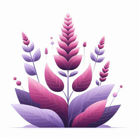 Vector illustration of a lavender flower on a white background. Vector illustration.のイラスト素材
