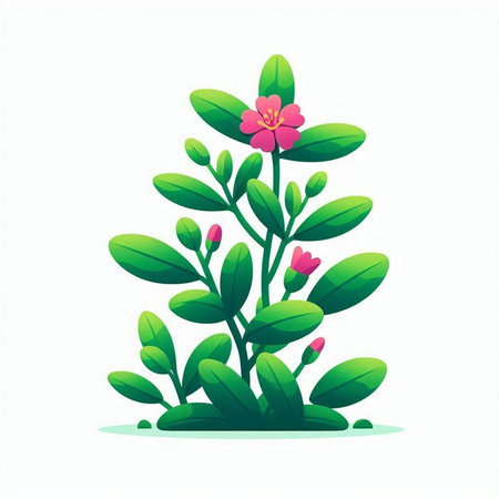 Plant with pink flowers isolated on white background. Vector illustration.のイラスト素材