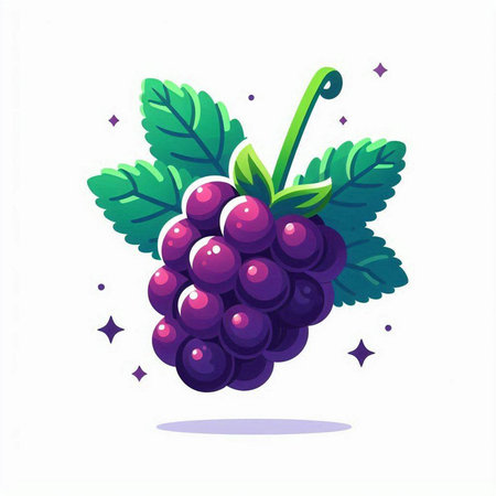 Grapes. Vector illustration of a bunch of grapes with leaves.のイラスト素材