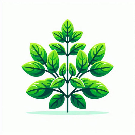 Green leaves icon isolated on white background. Vector illustration. Eps 10.のイラスト素材